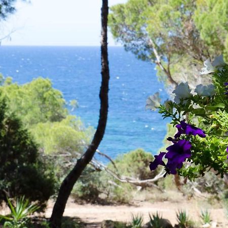 Villa Buonumore Порто-Пино Экстерьер фото