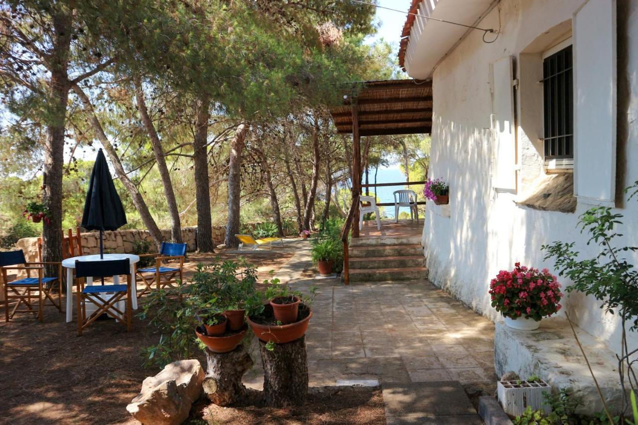 Villa Buonumore Порто-Пино Экстерьер фото