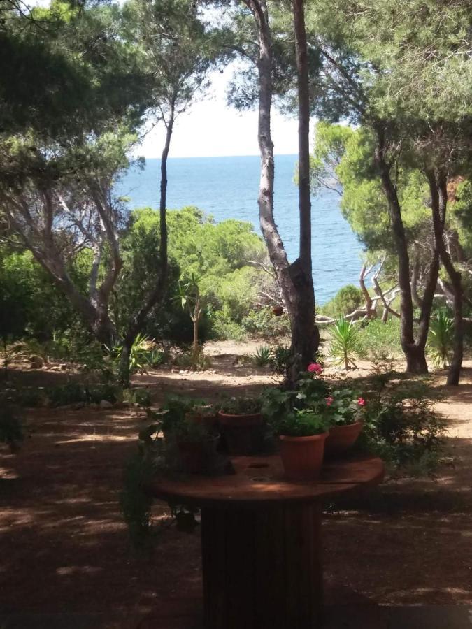 Villa Buonumore Порто-Пино Экстерьер фото